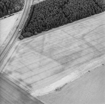 Oblique aerial view of the cropmarks of the enclosures and rig, taken from the SSW.