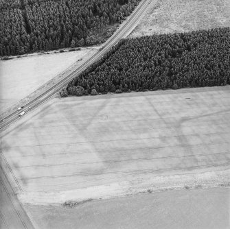 Oblique aerial view of the cropmarks of the enclosures and rig, taken from the S.
