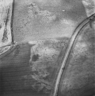 Green of Invermay, oblique aerial view, taken from the SSE, centred on the cropmarks of a palisaded enclosure, ring-ditch and pits. Further pits are visible in the right half of the photograph.