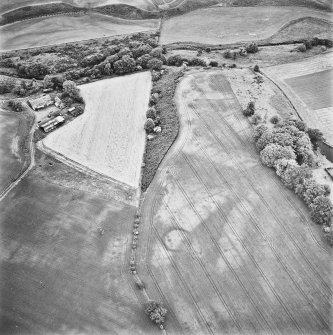 Inverdunning House and Wellhill, oblique aerial view, taken from the E, centred on the cropmarks of enclosures, a ring-ditch, pit-circles, rig, cropmarks and pits. Wellhill farmsteading is visible in the top left-hand corner of the photograph.