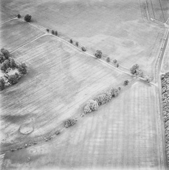 Inverdunning House and Wellhill, oblique aerial view, taken from the SW, centred on the cropmarks of an enclosure, ring-ditches and pits.