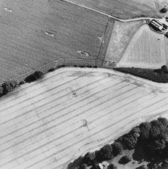 Oblique aerial view of Inverdunning House centred on the cropmarks of an enclosure, linear cropmarks and pits, taken from the N.