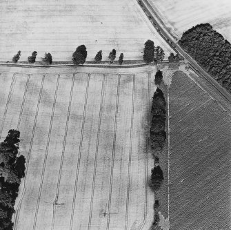 Oblique aerial view of Inverdunning House centred on the cropmarks of a ring-ditch, taken from the WSW.