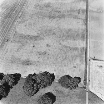 Newton of Condie, oblique aerial view, taken from the SSE, centred on the cropmarks of an enclosure amidst traces of a possible unenclosed settlement.
