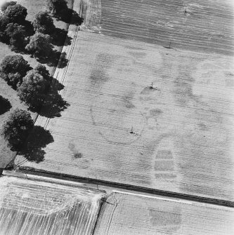 Newton of Condie, oblique aerial view, taken from the ENE, centred on the cropmarks of an enclosure amidst traces of a possible unenclosed settlement.