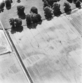 Newton of Condie, oblique aerial view, taken from the N, centred on the cropmarks of an enclosure amidst traces of a possible unenclosed settlement.