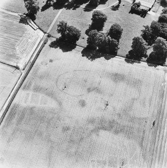 Newton of Condie, oblique aerial view, taken from the NW, centred on the cropmarks of an enclosure amidst traces of a possible unenclosed settlement.