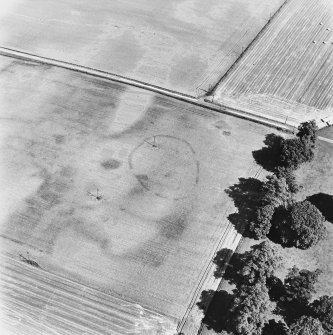 Newton of Condie, oblique aerial view, taken from the SW, centred on the cropmarks of an enclosure amidst traces of a possible unenclosed settlement.