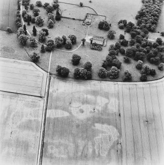 Newton of Condie, oblique aerial view, taken from the NW, centred on the cropmarks of an enclosure amidst traces of a possible unenclosed settlement.