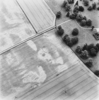 Newton of Condie, oblique aerial view, taken from the W, centred on the cropmarks of an enclosure amidst traces of a possible unenclosed settlement.