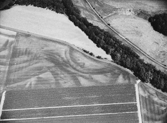 Oblique aerial view.