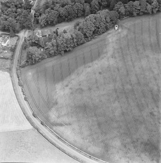 Green of Invermay, oblique aerial view, taken from the SW, centred on the cropmark of a ring-ditch and parts of a possible pit-alignment. Invermay House dovecot is visible in the top right-hand corner of the photograph.