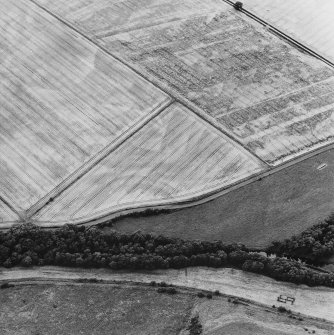 Oblique aerial view of Henhill centred on cropmarks, taken from the E.