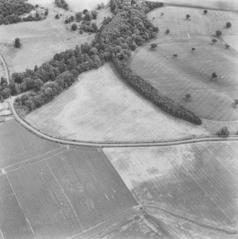 Oblique aerial view.