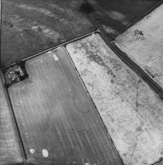 Millhaugh, oblique aerial view, taken from the E, centred on the cropmark of a settlement.