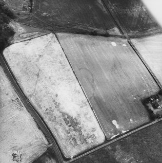 Millhaugh, oblique aerial view, taken from the W, centred on the cropmark of a settlement.