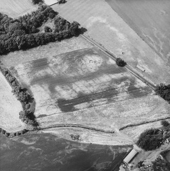 Millhaugh, oblique aerial view, taken from the ESE, centred on a field containing cropmarks including those of an enclosure, ring-ditch, pits and rig.