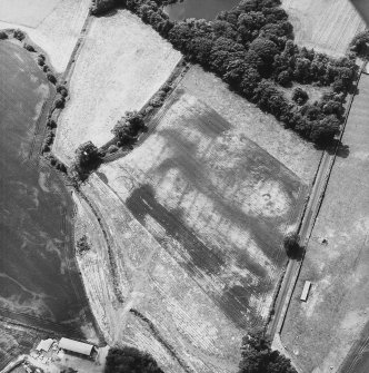 Millhaugh, oblique aerial view, taken from the NE, centred on a field containing cropmarks including those of an enclosure, ring-ditch, pits and rig.