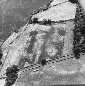 Millhaugh, oblique aerial view, taken from the N, centred on a field containing cropmarks including those of an enclosure, ring-ditch, pits and rig.