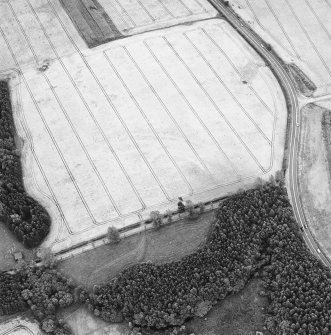 Oblique aerial view of Loanleven centred on the cropmarks of an enclosure, taken from the WNW.