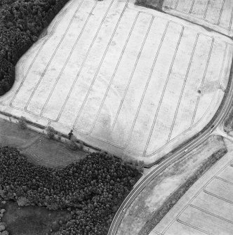 Oblique aerial view of Loanleven centred on the cropmarks of an enclosure, taken from the WSW.