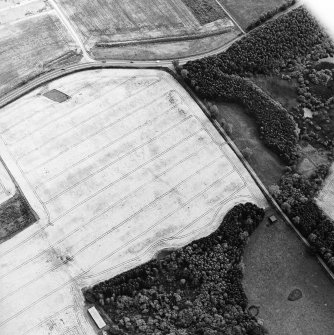 Oblique aerial view of Loanleven centred on the cropmarks of an enclosure, taken from the NE.