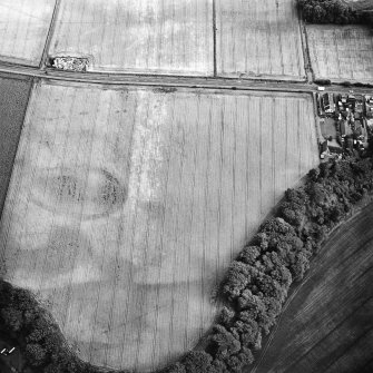 Oblique aerial view of Huntingtower Haugh centred on the cropmarks of an enclosure with cropmarks, rig, palisaded enclosure and Roman road adjacent, taken from the N.