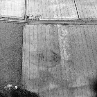Oblique aerial view of Huntingtower Haugh centred on the cropmarks of an enclosure with cropmarks, rig, palisaded enclosure and Roman road adjacent, taken from the N.