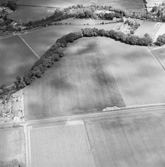 Oblique aerial view centred on the cropmarks of an enclosure, Roman Road and rig with linear cropmarks adjacent, taken from the SSW.