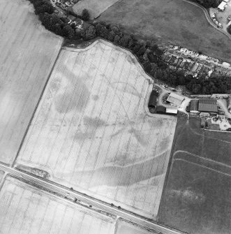 Oblique aerial view of the cropmarks of the enclosure, pits, ring-ditch, pit-alignment and Roman Road, taken from the SSE.