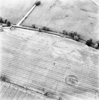 North Blackruthven, oblique aerial view, taken from the ESE, centred on the cropmarks of two enclosures and a pit-alignment.