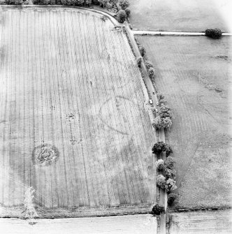 North Blackruthven, oblique aerial view, taken from the NE, centred on the cropmarks of two enclosures and a pit-alignment. North Blackruthven lodge is visible in the top centre of the photograph.