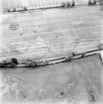 North Blackruthven, oblique aerial view, taken from the NW, centred on the cropmarks of two enclosures and a pit-alignment.