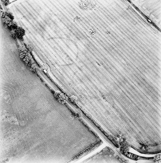 North Blackruthven, oblique aerial view, taken from the WNW, centred on the cropmarks of two enclosures and a pit-alignment.