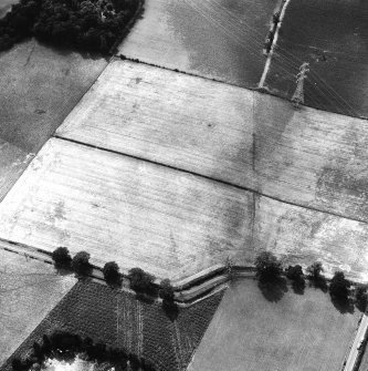 Oblique aerial view.