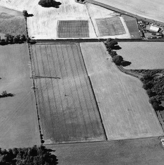 Oblique aerial view centred on the cropmarks of the possible Roman watch tower, taken from the SSE.