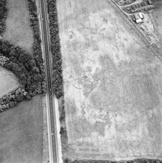 Oblique aerial view of Northleys centred on the cropmarks of a souterrains, possible souterrains, cultivation remains, pits, a building and other miscellaneous cropmarks, taken from the NNW.