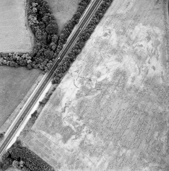 Oblique aerial view of Northleys centred on the cropmarks of a souterrains, possible souterrains, cultivation remains, pits, a building and other miscellaneous cropmarks, taken from the NW.