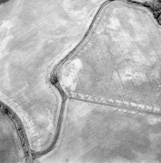 Oblique aerial view of Northleys centred on the cropmarks of a souterrains, possible souterrains, cultivation remains, pits, and other miscellaneous cropmarks, taken from the SSW.