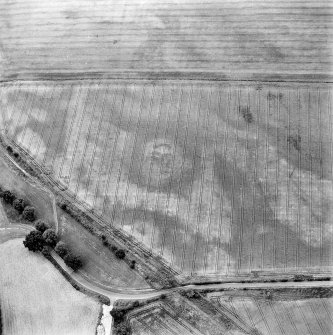 Oblique aerial view of Newmill Cottages centred on the cropmarks of a palisaded enclosure, souterrain, round house, pit-alignment and other cropmarks, taken from the SSE.