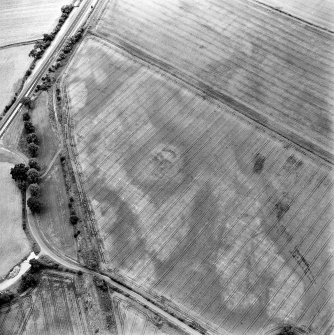 Oblique aerial view of Newmill Cottages centred on the cropmarks of a palisaded enclosure, souterrain, round house, pit-alignment and other cropmarks, taken from the SE.