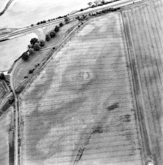 Oblique aerial view of Newmill Cottages centred on the cropmarks of a palisaded enclosure, souterrain, round house, pit-alignment and other cropmarks, taken from the E.