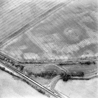 Oblique aerial view of Newmill Cottages centred on the cropmarks of a palisaded enclosure, souterrain, round house, pit-alignment and other cropmarks, taken from the SSW.