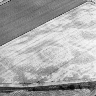 Oblique aerial view centred on the cropmarks of the palisaded enclosure, souterrain and pit-alignment, taken from the SW.