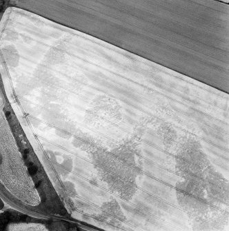 Oblique aerial view centred on the cropmarks of the palisaded enclosure, souterrain and pit-alignment, taken from the SSE.