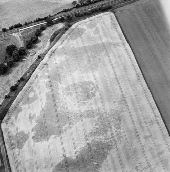 Oblique aerial view centred on the cropmarks of the palisaded enclosure, souterrain and pit-alignment, taken from the E.