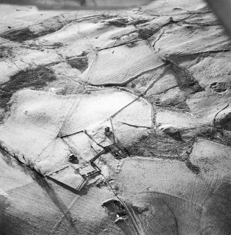 Oblique aerial view centred on the remains of the farmstead, buildings and tower-house, with the remains of the farmsteads adjacent, taken from the E.