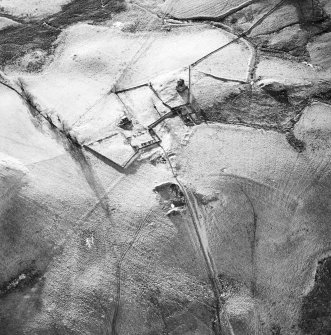 Oblique aerial view centred on the remains of the farmstead, buildings and tower-house, with the remains of the farmstead adjacent, taken from the NE.