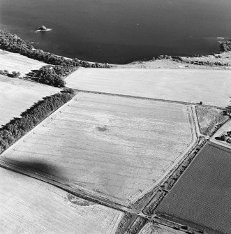 Oblique aerial view centred on the cropmarks of a cursus, taken from the NW.