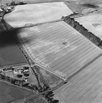 Oblique aerial view centred on the cropmarks of a cursus, taken from the SSW.